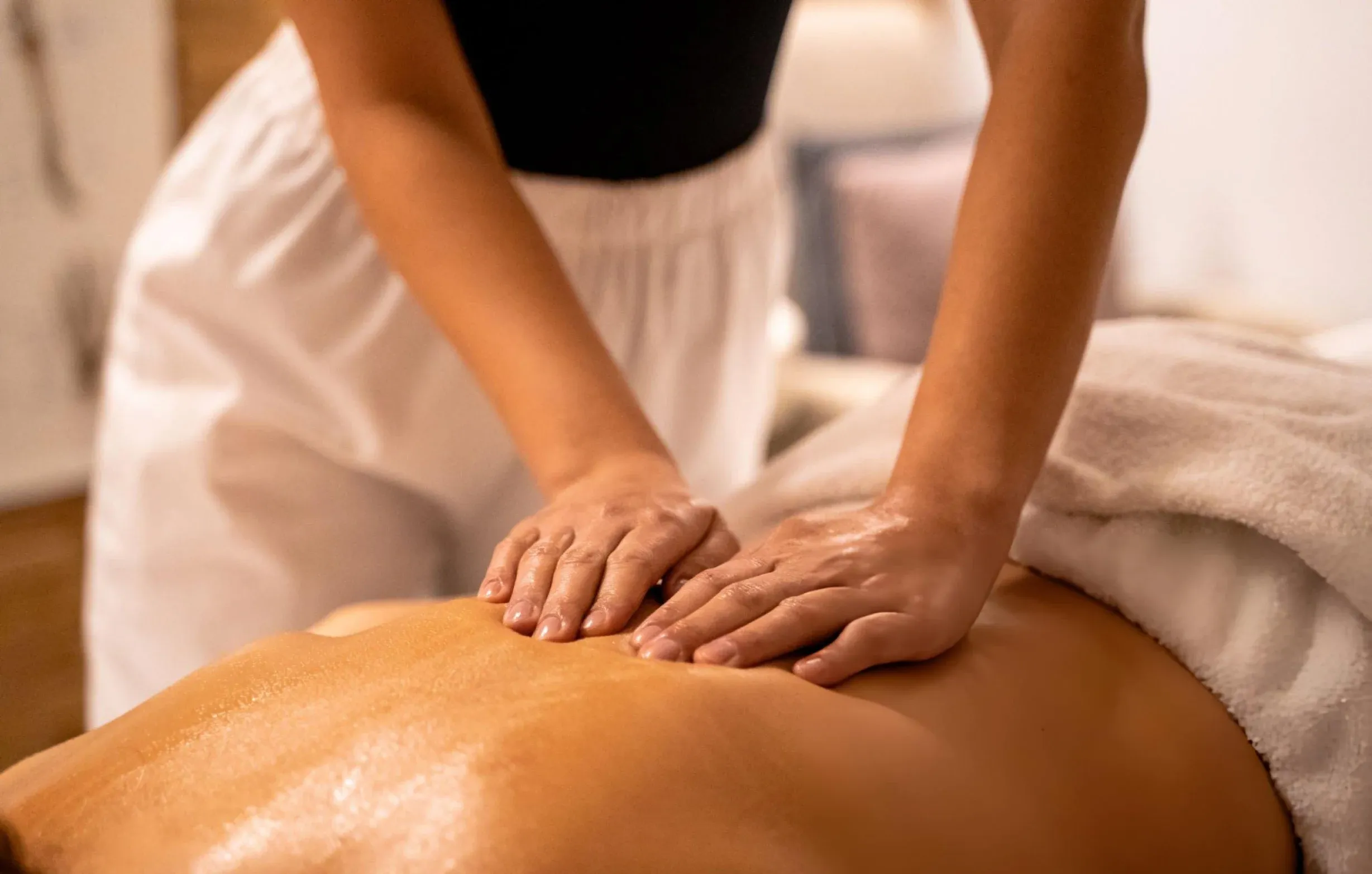ayurveda guide